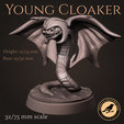MODELS-3.png Young cloaker