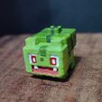 IMG_20230105_013135.jpg Pokemon Quest Bulbasaur