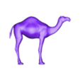 camel.OBJ Camel