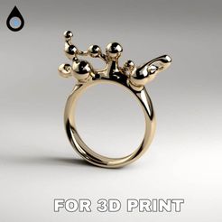 3D-ring-print_0.jpg Viscosity Ring
