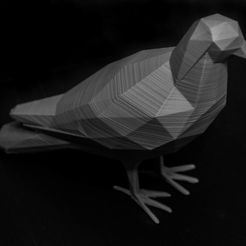 36749550732fca3a6dfa269a69460738_display_large.jpg STL-Datei LowPolyPigeon kostenlos・Design für 3D-Drucker zum herunterladen