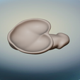 packer-0.png STL file Packing Dildo・3D printable model to download