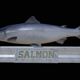 Salmon-statue-18.png Atlantic salmon / salmo salar / losos obecný fish statue detailed texture for 3d printing