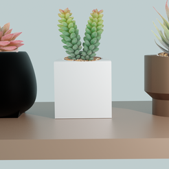 macetas4.png Free STL file Minimalist Elegance in Planters: Beautify your Space #PLANTERSXCULTS・3D printer design to download