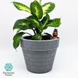 Folie4.jpg Self-Watering Plant Pot with a Gentleman Earthworm Companion