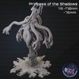 Resin3.jpg Prinzessin der Schatten Druckdateien