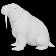 Walrus-1.png Realistic Walrus Marine Mammal Model