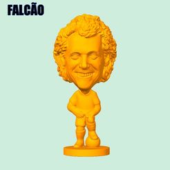 15FALCÃO.jpg Falcão - Brasil - Roma Arquivo STL