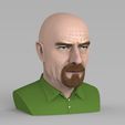 walter-white-breaking-bad-bust-ready-for-full-color-3d-printing-3d-model-obj-stl-wrl-wrz-mtl (9).jpg Walter White Breaking Bad bust ready for full color 3D printing