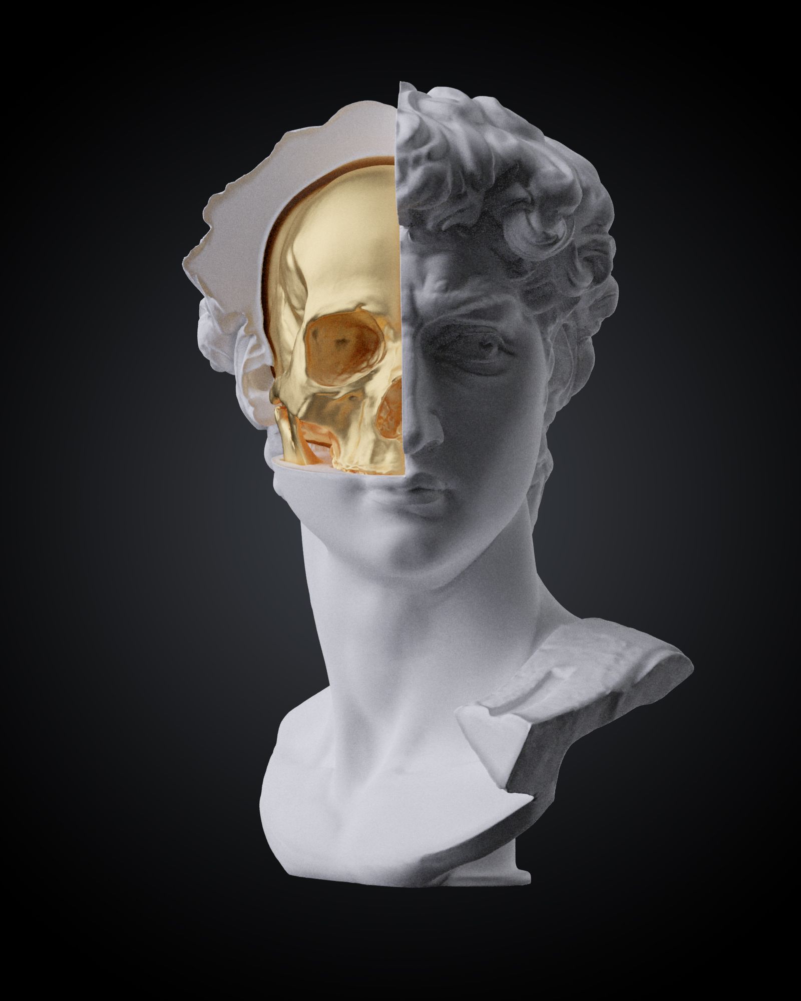 i4.jpg Télécharger fichier STL gratuit Le crâne de David • Plan à imprimer en 3D, stonestef