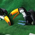 IMG_20240127_153218034_MP.jpg Toucan  Articulated Figure