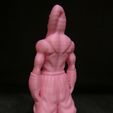 Majin-Buu-4.jpg Majin Buu (Easy print no support)