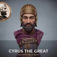 Gemini_Generated_Image_5ts8xo5ts8xo5ts8.jpg Cyrus the Great 3D Printable Bust 3D print model