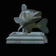 zander-open-mouth-tocenej-5.png fish zander / pikeperch / Sander lucioperca trophy statue detailed texture for 3d printing