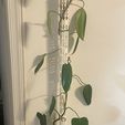 Moss-pole-Tall-3D.jpg Stapelbarer Moospfahl - Dekoratives modulares Monstera-Design