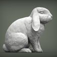 rabbit-ram5.jpg Rabbit ram 3D print model