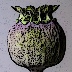 TWSP-01.jpg Tomb Walker Seed Pod