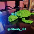 20240303_161523.jpg Articulated Sea Turtle - Flexi print in place