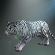 0_00021.png TIGER TIGER - DOWNLOAD TIGER 3d model - animated for blender-fbx-unity-maya-unreal-c4d-3ds max - 3D printing TIGER TIGER - CAT - FELINE - MONSTER - RAPTOR PREDATOR