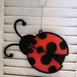 Ladybug-Pic2.jpg Décoration de fenêtre et de jardin avec un capteur de soleil en forme de coccinelle Plusieurs pièces Fichiers STL