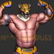 4.jpg king tekken