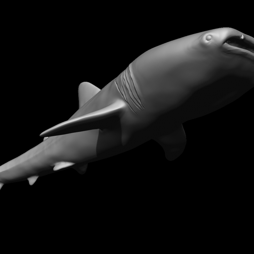 Free STL file Whale Shark・3D printable model to download・Cults