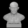brasilero-front-gris.png Deiveson Figueiredo - Bust - UFC