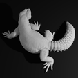 Pose3full-min.png Uromastyx - Spiny Tailed Lizard - Realistic Dabb Lizard Pet Reptile