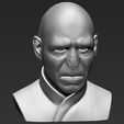 15.jpg Lord Voldemort bust ready for full color 3D printing