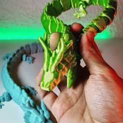 Long Dragon Flexi