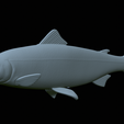 Salmon-statue-30.png Atlantic salmon / salmo salar / losos obecný fish statue detailed texture for 3d printing