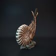 Ammonite_pen_holder_3.jpg Archivo STL Soporte para bolígrafos de amoníaco - pre soportado・Plan de impresora 3D para descargar