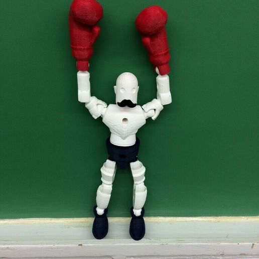 photo_4.jpg Boxer Bot