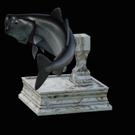 coalfish-open-mouth-statue-box-12.png COALFISH / POLLACHIUS VIRENS trophy with storage space for 3d printing