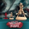 Model_Scale_Guide_Daughters-of-the-Crimsom-Blade-3.jpg Daughters of the Crimsom Blade - Knight