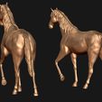 05.jpg Thoroughbred Horse model 3D print model