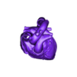 whs.obj 3D Model of Heart (2.3.4.5 chamber view) - 4 pack
