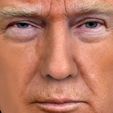 president-donald-trump-bust-ready-for-full-color-3d-printing-3d-model-obj-mtl-stl-wrl-wrz (6).jpg President Donald Trump bust ready for full color 3D printing