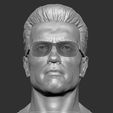 ss.jpg Arnold T-800 bust with glasses for 3d print stl .2 options