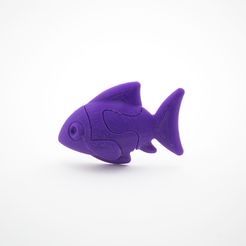 f3d315b5728a0fd4f5aa692b0be94c37_1446845566516_NMD000634-5.jpg Free STL file Jigsaw Fish・3D printable design to download