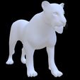 Trans_lioness_01_MI__Diffuse3.jpg DOWNLOAD LIONESS 3d model - animated for blender-fbx-unity-maya-unreal-c4d-3ds max - 3D printing - LION - LIONESS - CAT - PREDATOR - RAPTOR - FELINE