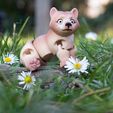 IMG_2898.jpg 3D file Bear flexi animal toy・3D printing template to download