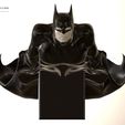 IMG_5952.jpg Aesthetic Batman