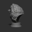 43.jpg Pomeranian head