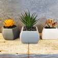 20210718_172500.jpg Minimalist Geometric Succulent Planters - 3 styles