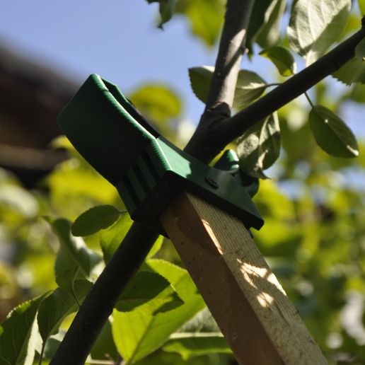 _DSC0635.JPG Limblift - Fruit Tree Branch Support