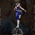 z-25.jpg Chun Li - Street Fighter - Collectible