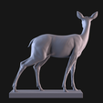 05.png Deer
