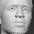 21.jpg Chad Boseman Black Panther bust 3D printing ready stl obj formats