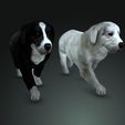 91792.jpg DOG DOG - DOWNLOAD Sheepdog 3d model - CANINE PET GUARDIAN WOLF HOUSE HOME GARDEN POLICE 3D printing DOG DOG